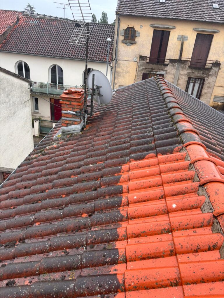 Démoussage et traitement de toiture à Graulhet (81)